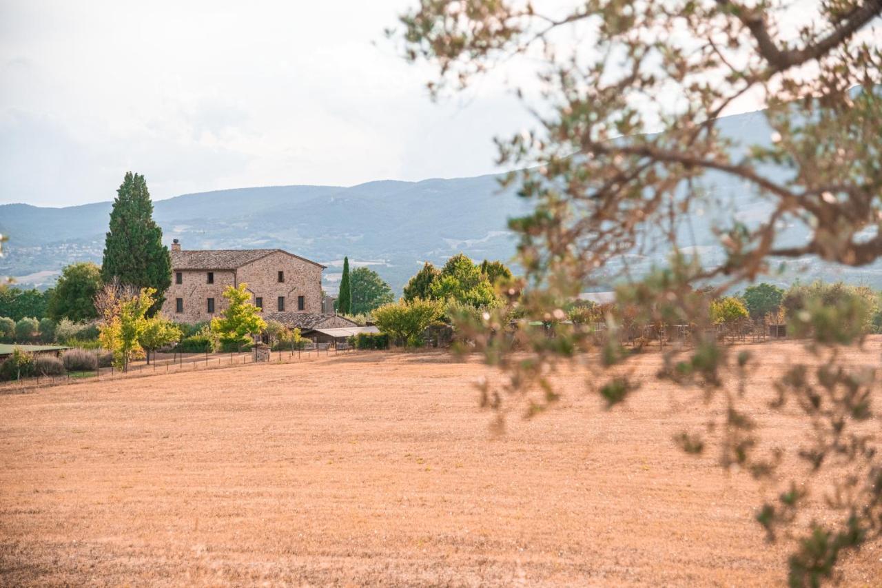 San Carlo A La Molinella ξενώνας Città della Pieve Εξωτερικό φωτογραφία