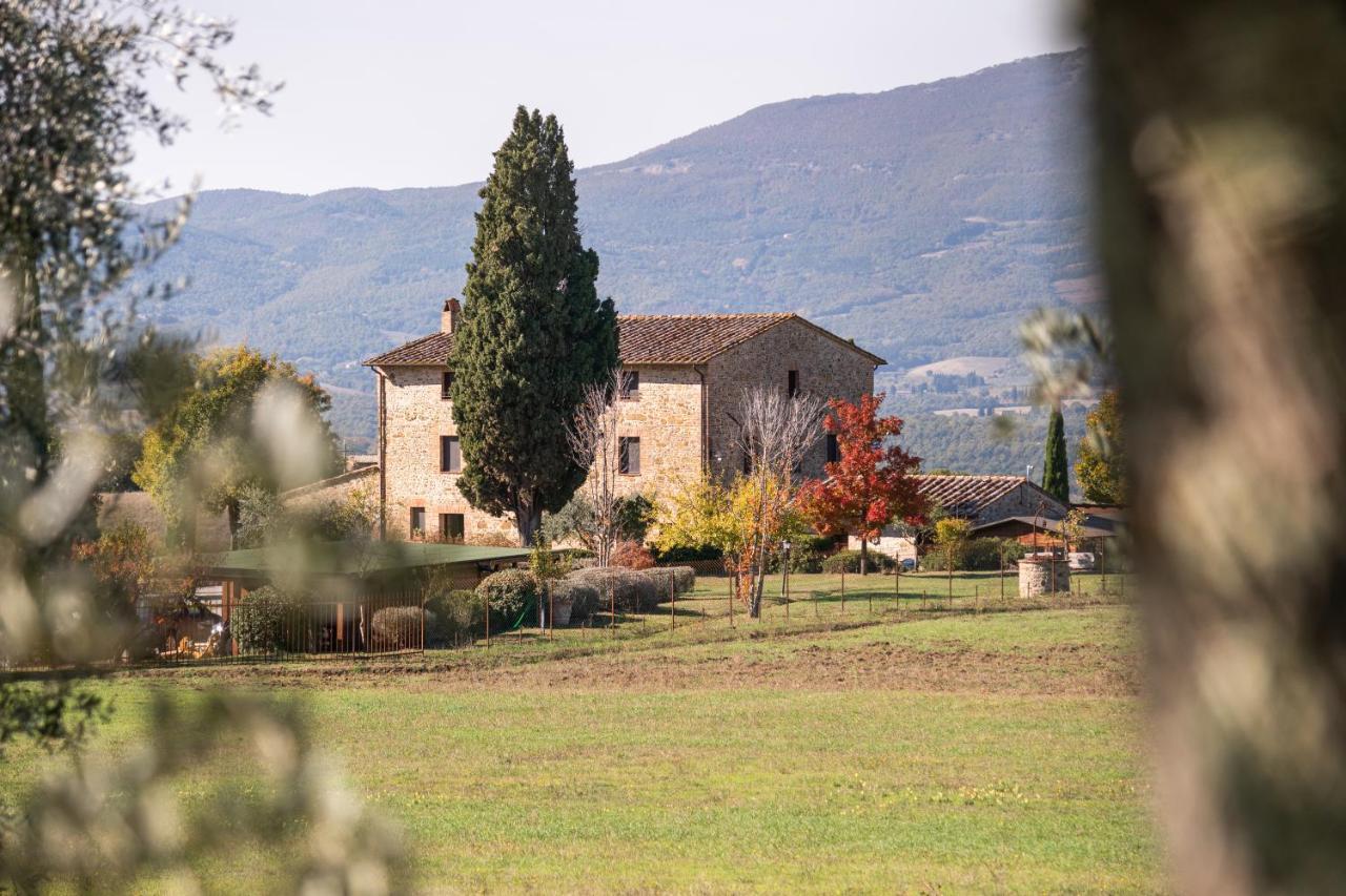San Carlo A La Molinella ξενώνας Città della Pieve Εξωτερικό φωτογραφία
