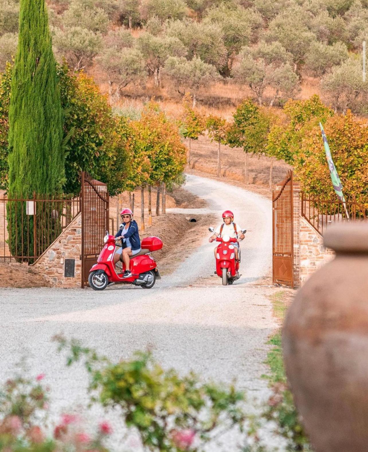 San Carlo A La Molinella ξενώνας Città della Pieve Εξωτερικό φωτογραφία