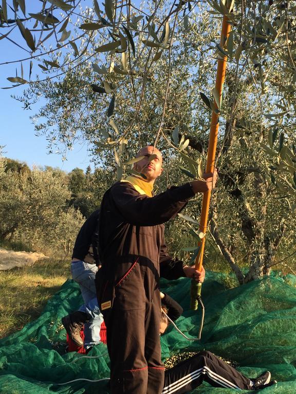 San Carlo A La Molinella ξενώνας Città della Pieve Εξωτερικό φωτογραφία